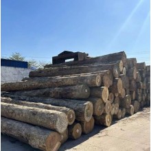松木原木木方 工地方木 澳大利亚进口园林木材工厂批发